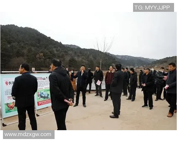 重庆篮球队区域防守创新之路探索与实践分析