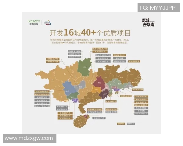 广州排球队实力深度解析与对手对比分析
